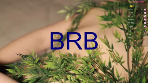 Toshi online show from 26, 12, 2024