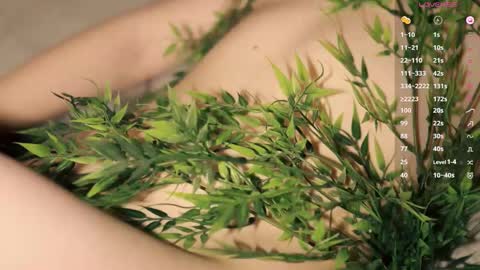 Toshi online show from 16, 1, 2026