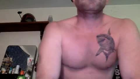 transcurious101 online show from 8, 11, 2025