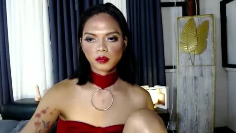 transsitips online show from 5, 12, 2025