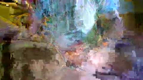 tree33007 online show from 2, 11, 2025