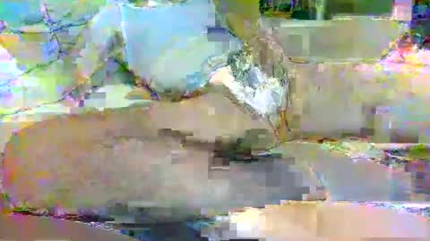 tree33007 online show from 3, 11, 2025