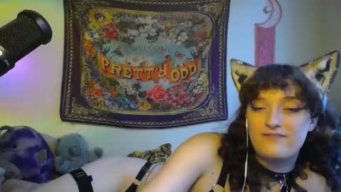 treecups online show from 23, 9, 2025