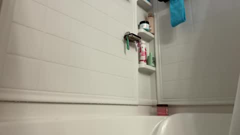 Snapshot of trickydick6 chatting on 13, 1, 2026 trickydick6 online show from 13, 1, 2026