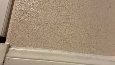 Snapshot of trickydick6 chatting on 10, 3, 2026 trickydick6 online show from 10, 3, 2026