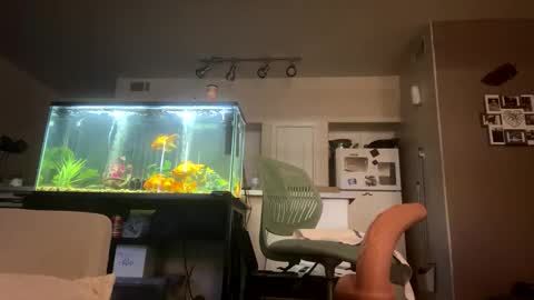 Snapshot of trickydick6 chatting on 20, 3, 2026 trickydick6 online show from 20, 3, 2026