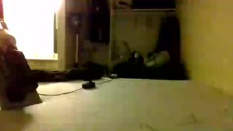Snapshot of trickydick6 chatting on 25, 6, 2026 trickydick6 online show from 25, 6, 2026