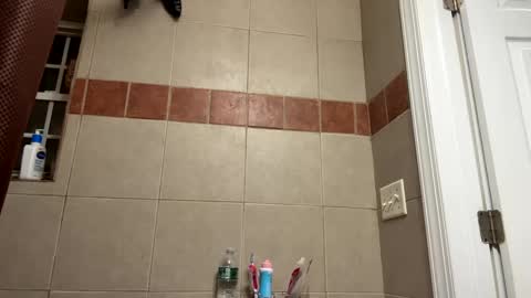 Snapshot of trillahung chatting on 11, 2, 2025 WapBopper online show from 11, 2, 2025