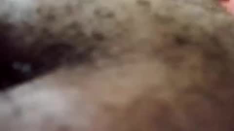 Snapshot of trinislim1868 chatting on 8, 10, 2025 Antique-Shirt2516 online show from 8, 10, 2025