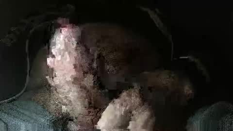 triponsex online show from 24, 3, 2026