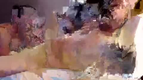 Snapshot of trojanswingers chatting on 11, 2, 2025 trojanswingers online show from 11, 2, 2025