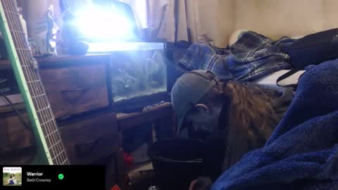 Snapshot of trooper0690 chatting on 12, 2, 2026 trooper0690 online show from 12, 2, 2026