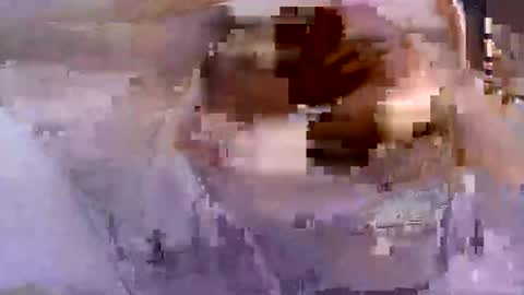 troy1965 online show from 26, 4, 2026