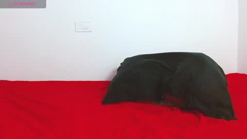 Snapshot of troy_walker7 chatting on 28, 6, 2026 sebas online show from 28, 6, 2026