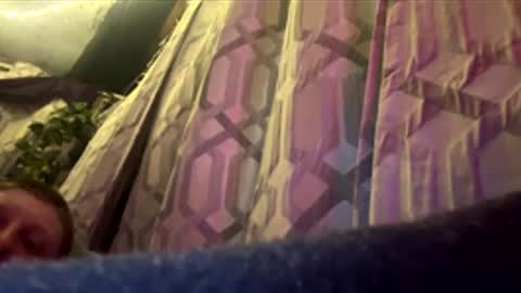 Snapshot of tryagainbish296 chatting on 16, 1, 2026 tryagainbish296 online show from 16, 1, 2026