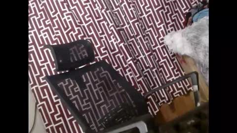 SARCY online show from 11, 3, 2026