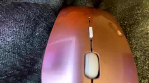 Snapshot of tsfoxx chatting on 12, 2, 2025 tsfoxx online show from 12, 2, 2025