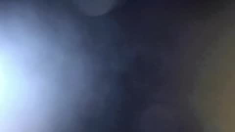   Stella Hanlon    - - online show from 2, 3, 2026