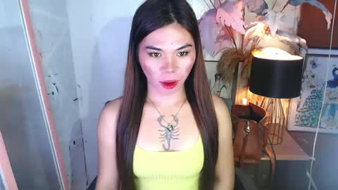 tsnovy online show from 13, 12, 2024