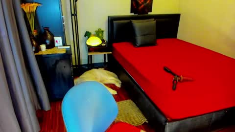 Kylee-  will make your  day  online show from 10, 5, 2026