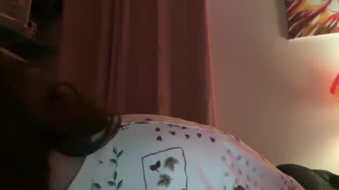 Snapshot of tulipisnotaperson chatting on 2, 2, 2026 Tulip online show from 2, 2, 2026