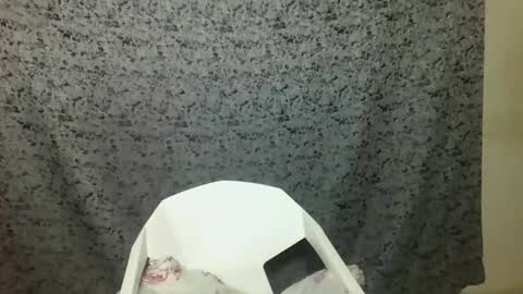 twerker_lyly online show from 7, 10, 2025