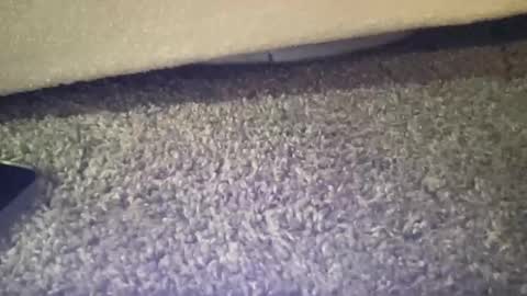 Snapshot of twinkgabe chatting on 16, 2, 2026 twinkgabe online show from 16, 2, 2026