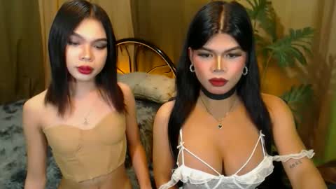 Snapshot of twinktransshanel chatting on 20, 10, 2025 twinktransshanel online show from 20, 10, 2025