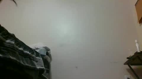 Snapshot of txbigd131369 chatting on 29, 1, 2025 txbigd131369 online show from 29, 1, 2025