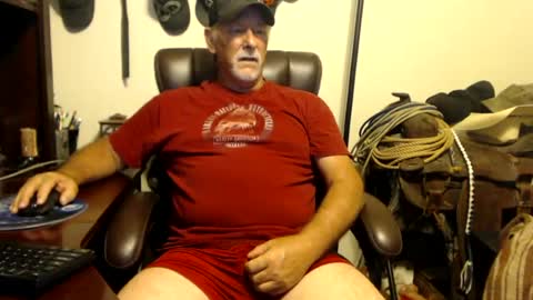 txlobo60 online show from 19, 7, 2026