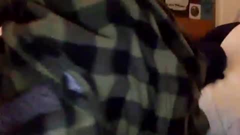 Tyler Durden online show from 15, 2, 2025