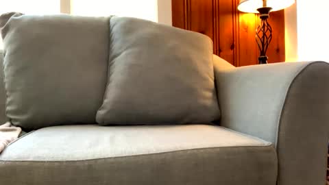 Tyler Sands online show from 7, 3, 2025