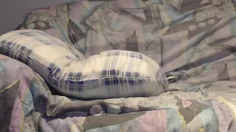 Snapshot of tyson2525 chatting on 21, 12, 2024 Helena and Tyson online show from 21, 12, 2024