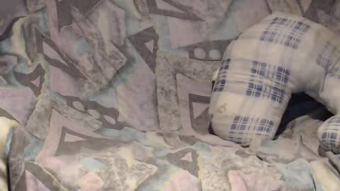 Snapshot of tyson2525 chatting on 2, 2, 2025 Helena and Tyson online show from 2, 2, 2025