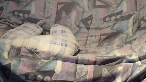 Snapshot of tyson2525 chatting on 23, 2, 2025 Helena and Tyson online show from 23, 2, 2025