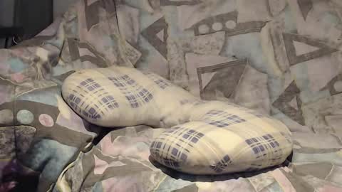 Snapshot of tyson2525 chatting on 9, 11, 2025 Helena and Tyson online show from 9, 11, 2025