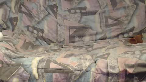 Snapshot of tyson2525 chatting on 10, 1, 2026 Helena and Tyson online show from 10, 1, 2026