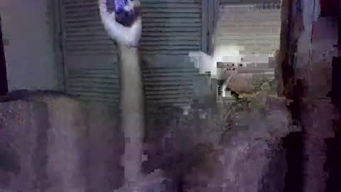 uncut2506 online show from 20, 3, 2026