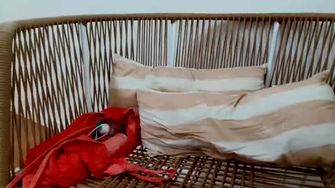 Snapshot of underground33 chatting on 16, 1, 2025 Under  Huge cock with beautiful uncut foreskin online show from 16, 1, 2025