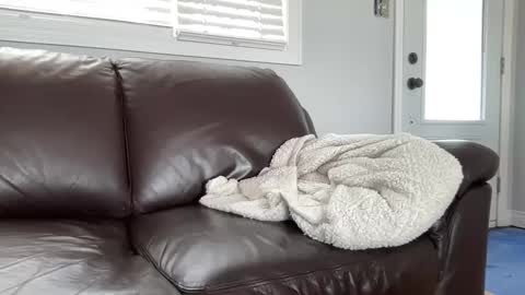 ungerisland online show from 9, 3, 2025