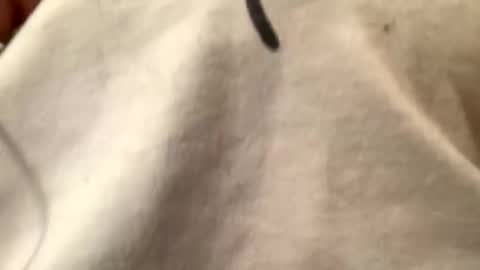 Snapshot of unknownkay chatting on 1, 11, 2025 unknownkay online show from 1, 11, 2025