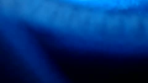 urasian_pinayjessaxxx online show from 8, 7, 2026