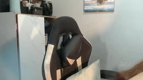 Snapshot of urasianfuckprincessxxx chatting on 31, 1, 2025 urasianfuckprincessxxx online show from 31, 1, 2025