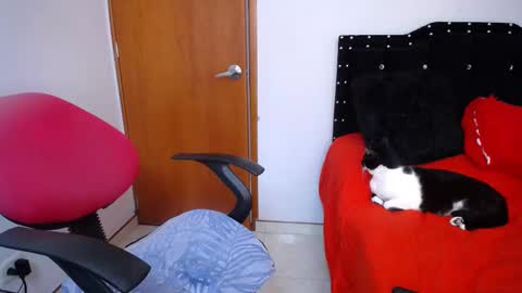 Eveling Blanco  online show from 18, 2, 2025