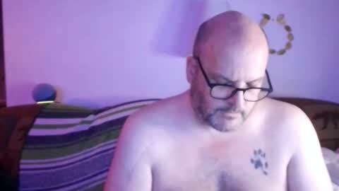 Ursulet US online show from 16, 4, 2026