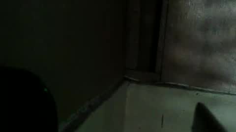 Angel online show from 23, 3, 2026