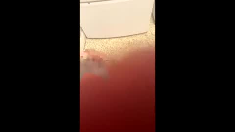 Snapshot of useabitchplz chatting on 23, 3, 2026 Slave bitch online show from 23, 3, 2026