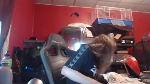 ustogetherliveee online show from 12, 11, 2025