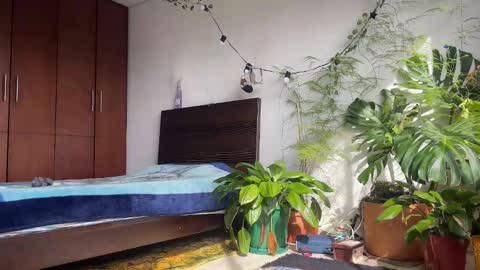   Valentin  independent Cam Boy     online show from 8, 2, 2026