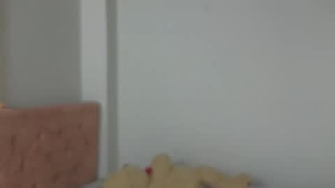 valery_lovex_ online show from 10, 10, 2025